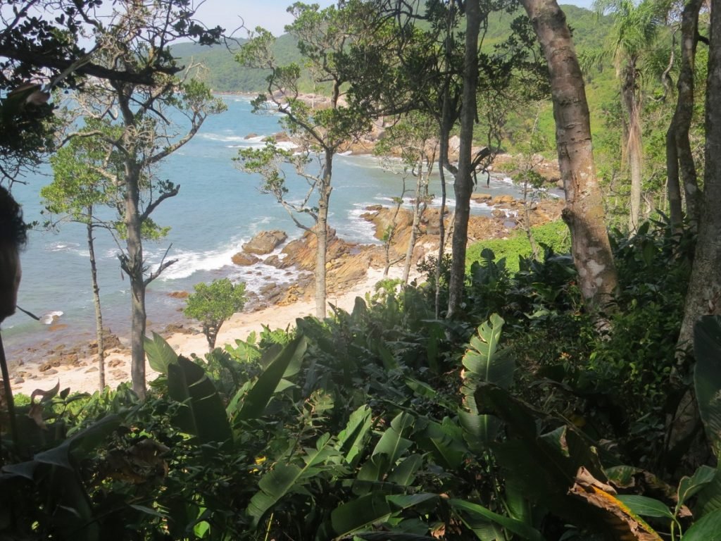 Trecho de trilha costeira entre mata e mar.