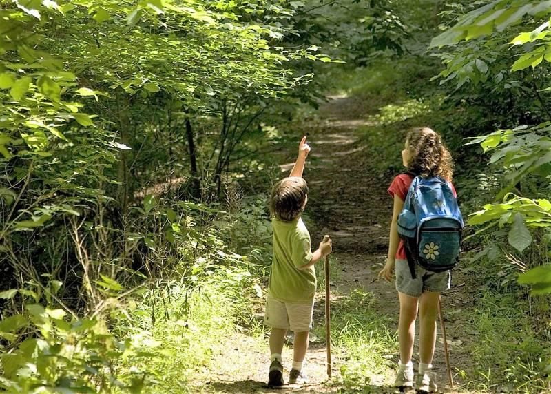Visitantes caminham por uma trilha em área de floresta.