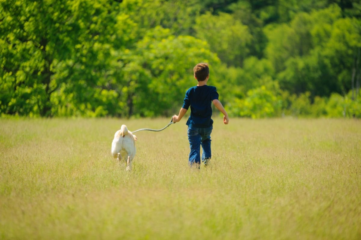 Crianças, grupos e animais domésticos durante uma visita à trilha.